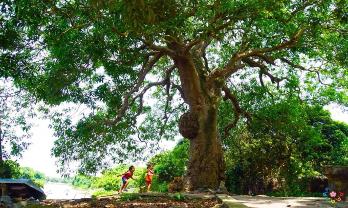 Ký ức về quê hương tôi Bình Nguyên